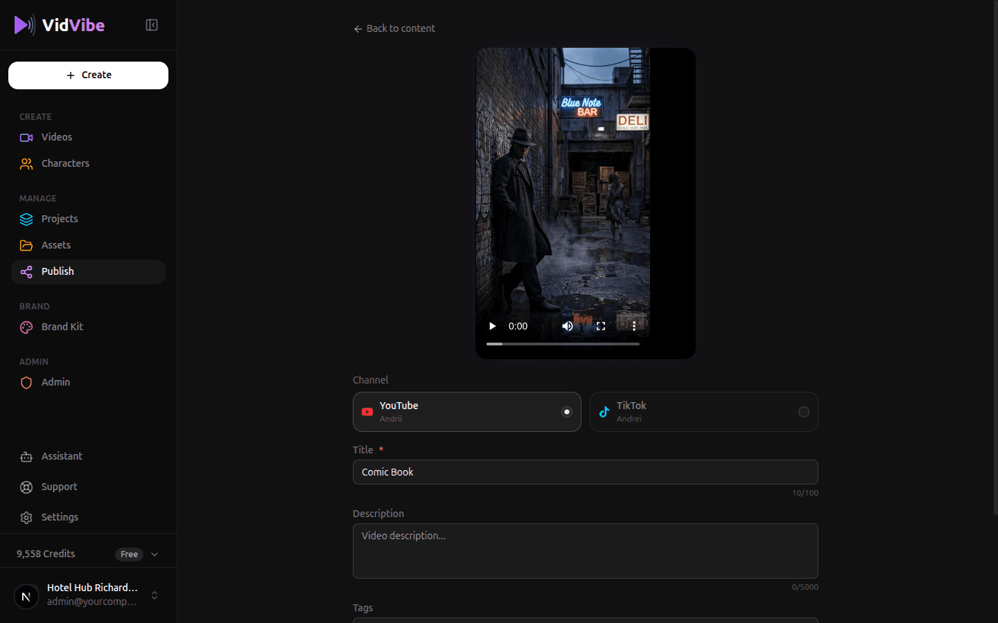VidVibe publish form with auto-generated titles, descriptions, captions, and hashtags for YouTube and TikTok